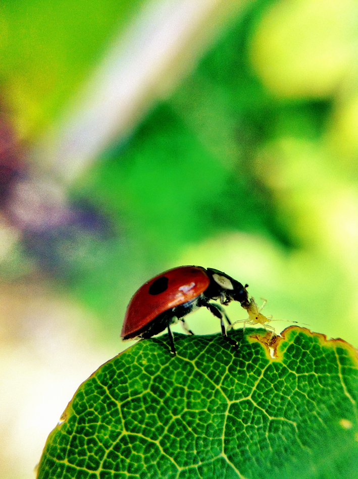 tutorial image